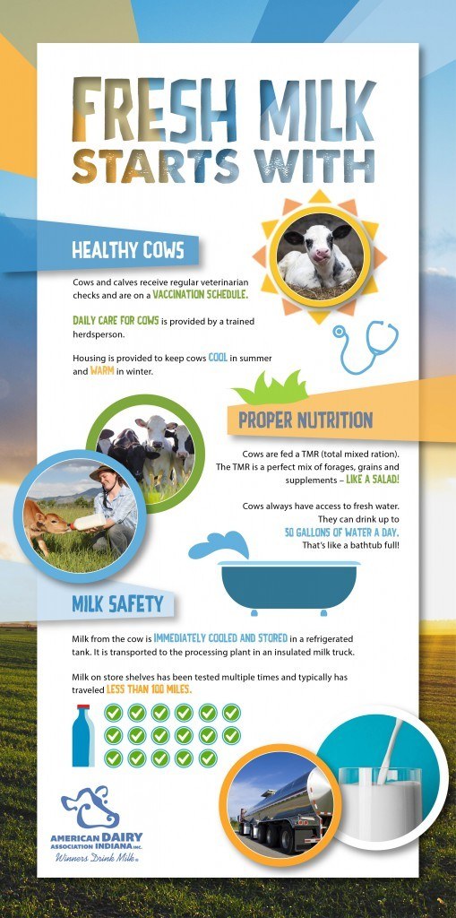 ADA Infographic-02