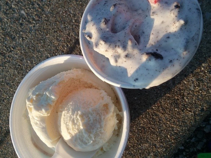 Frozen Custard vs Ice Cream: Is There a Difference?