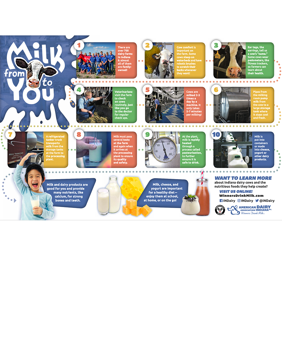 Milk from cow to you