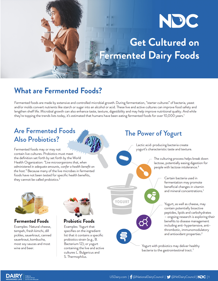 What are Fermented Foods