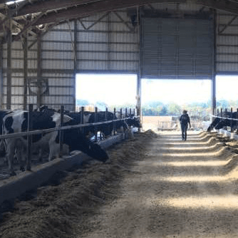 Meet Indiana Dairy Farmers 19 ADAI Meet Dairy Farmer Contact