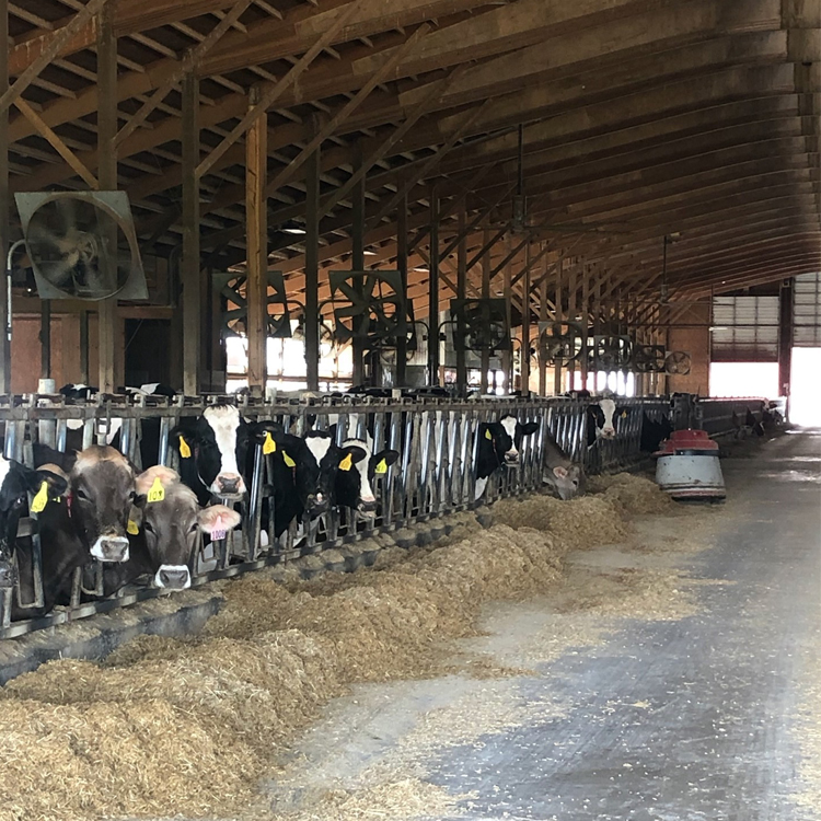 Meet Indiana Dairy Farmers 12 ADAI Meet Dairy Farmer Lance Sommer