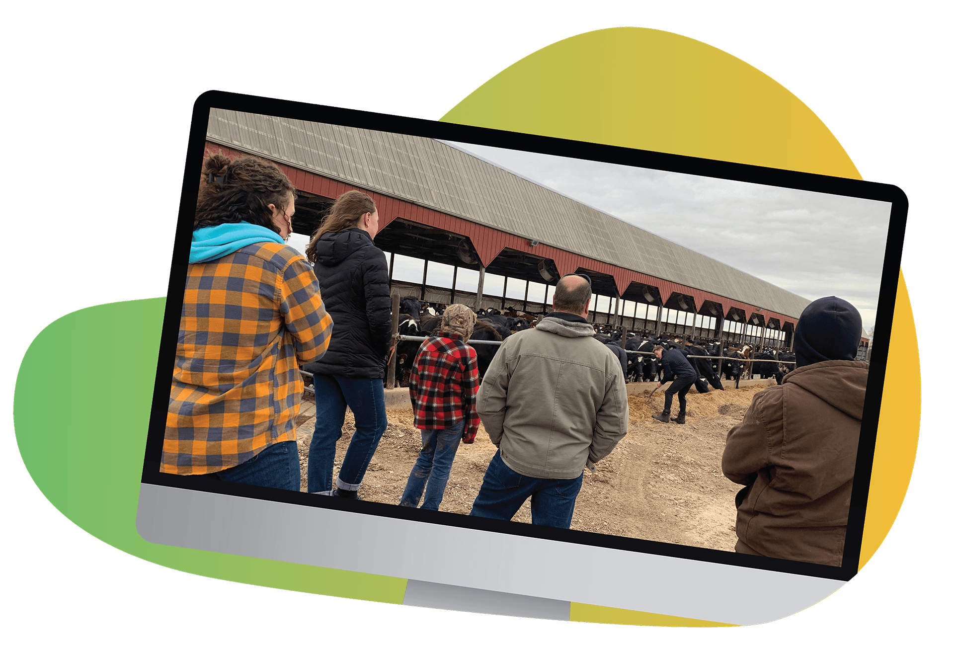 ADAI Farm Life virtual tour cow spot