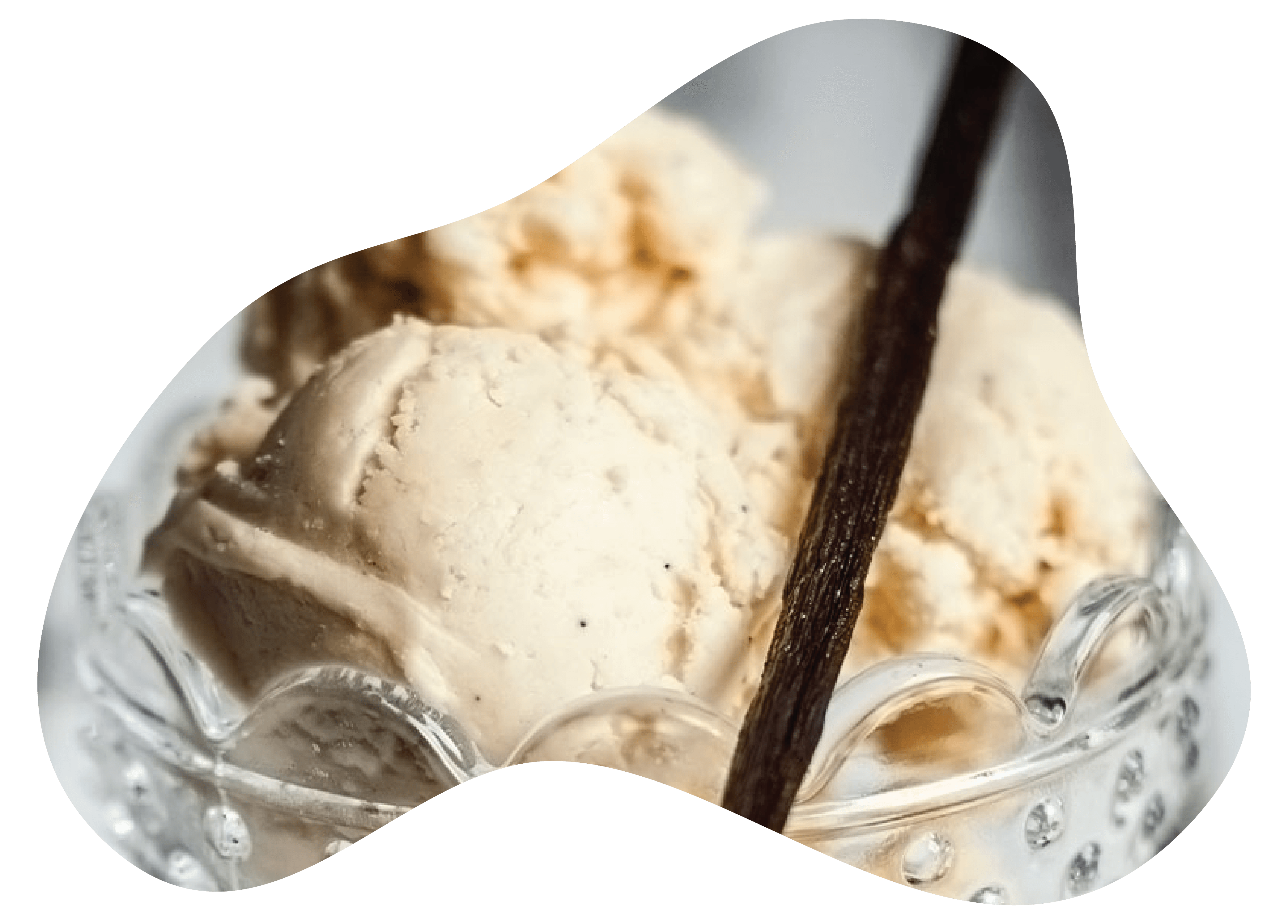 ADAI Recipes cow spot dads famous homemade vanilla ice cream