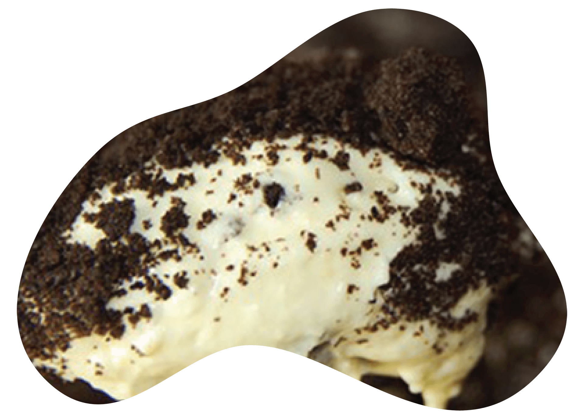 ADAI Recipes cow spot dirt pudding