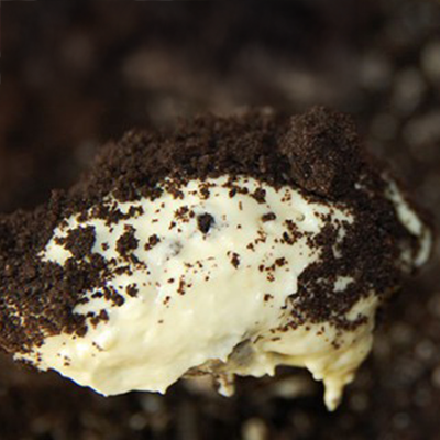 ADAI Recipes Square Image dirt pudding