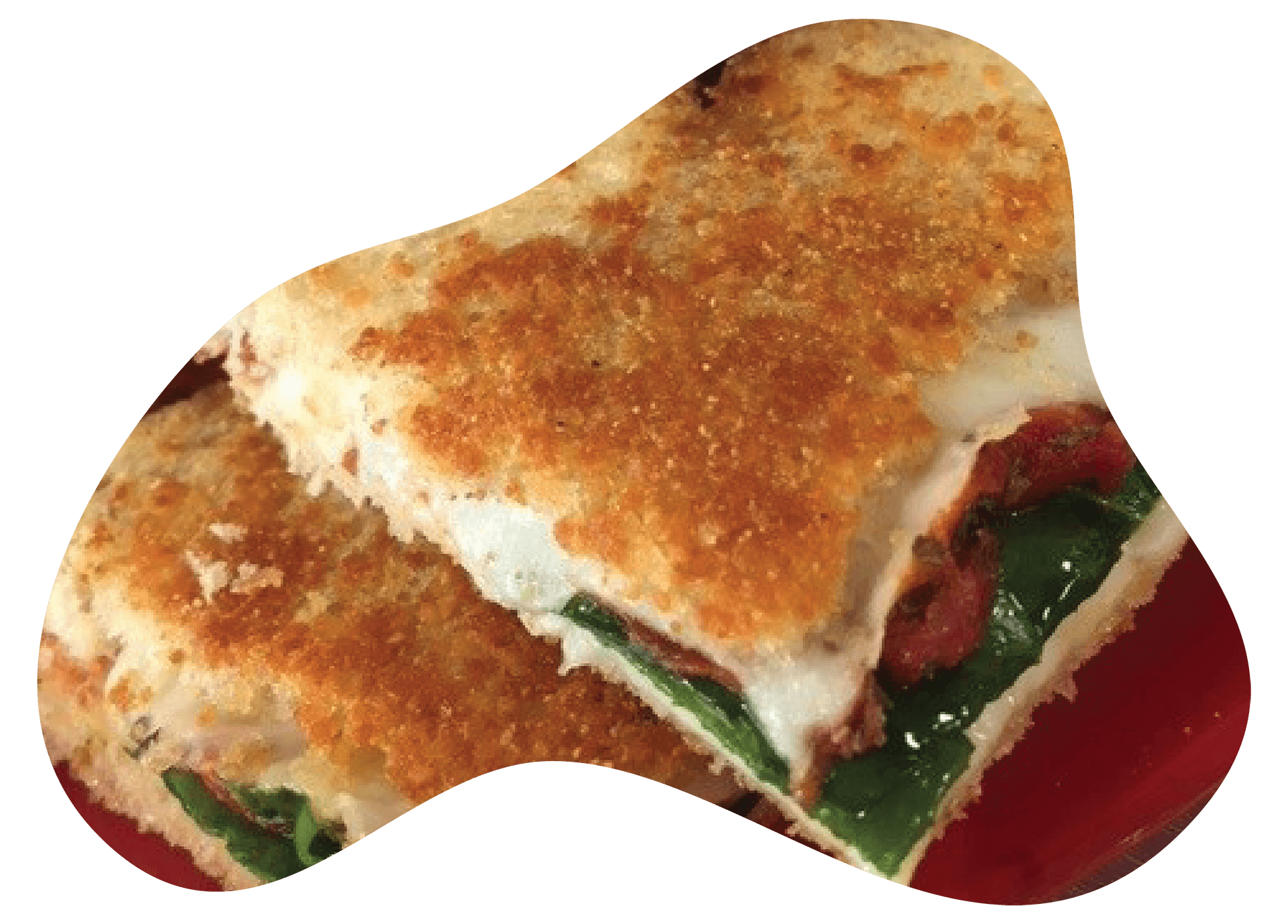 ADAI Recipes cow spot provolone grilled cheese