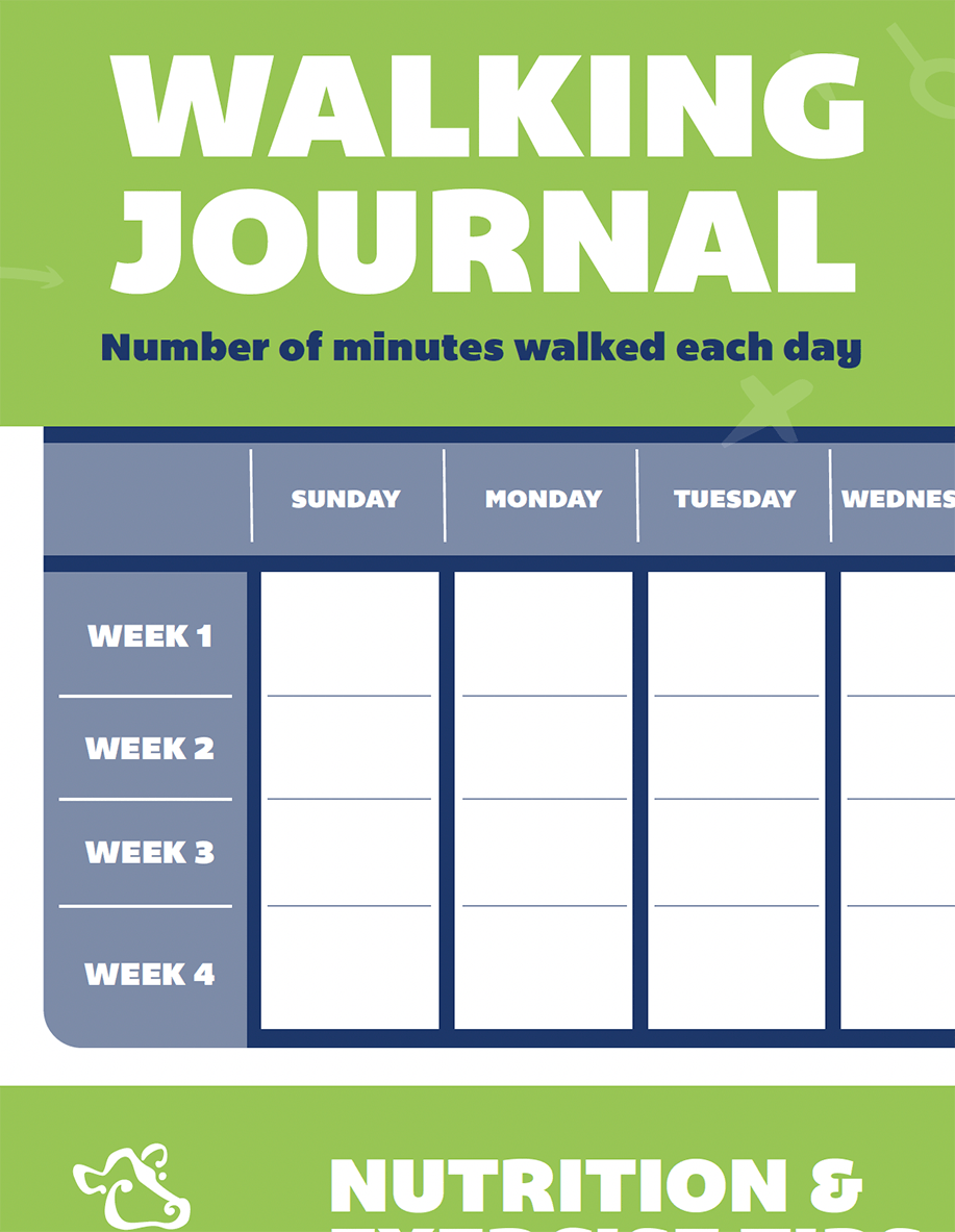 FUTP60 Handout Walking Journal