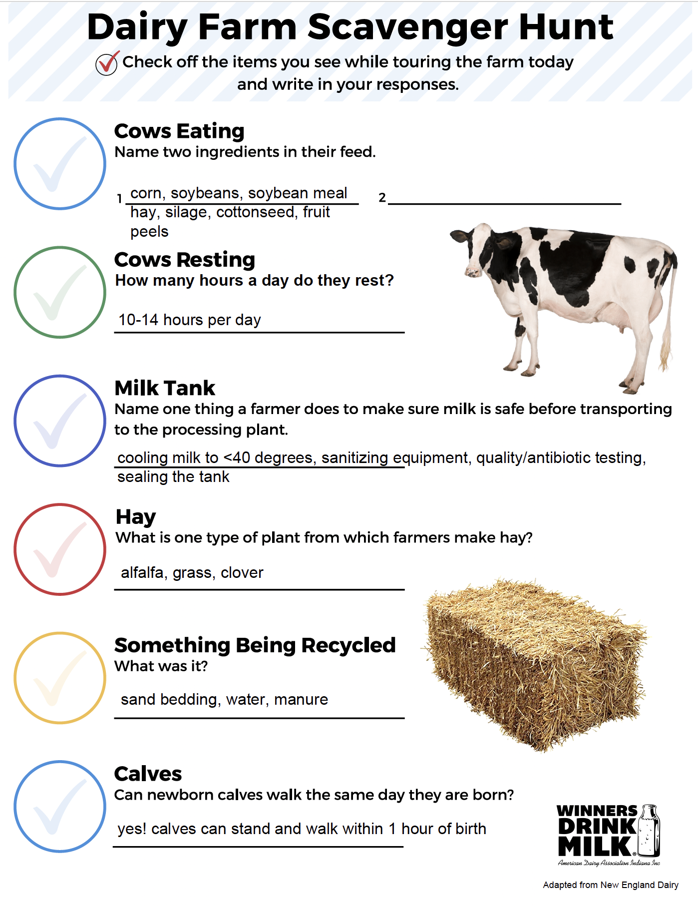 2025_12_ADAI Farm Tour Scavenger Hunt Answer Key FI