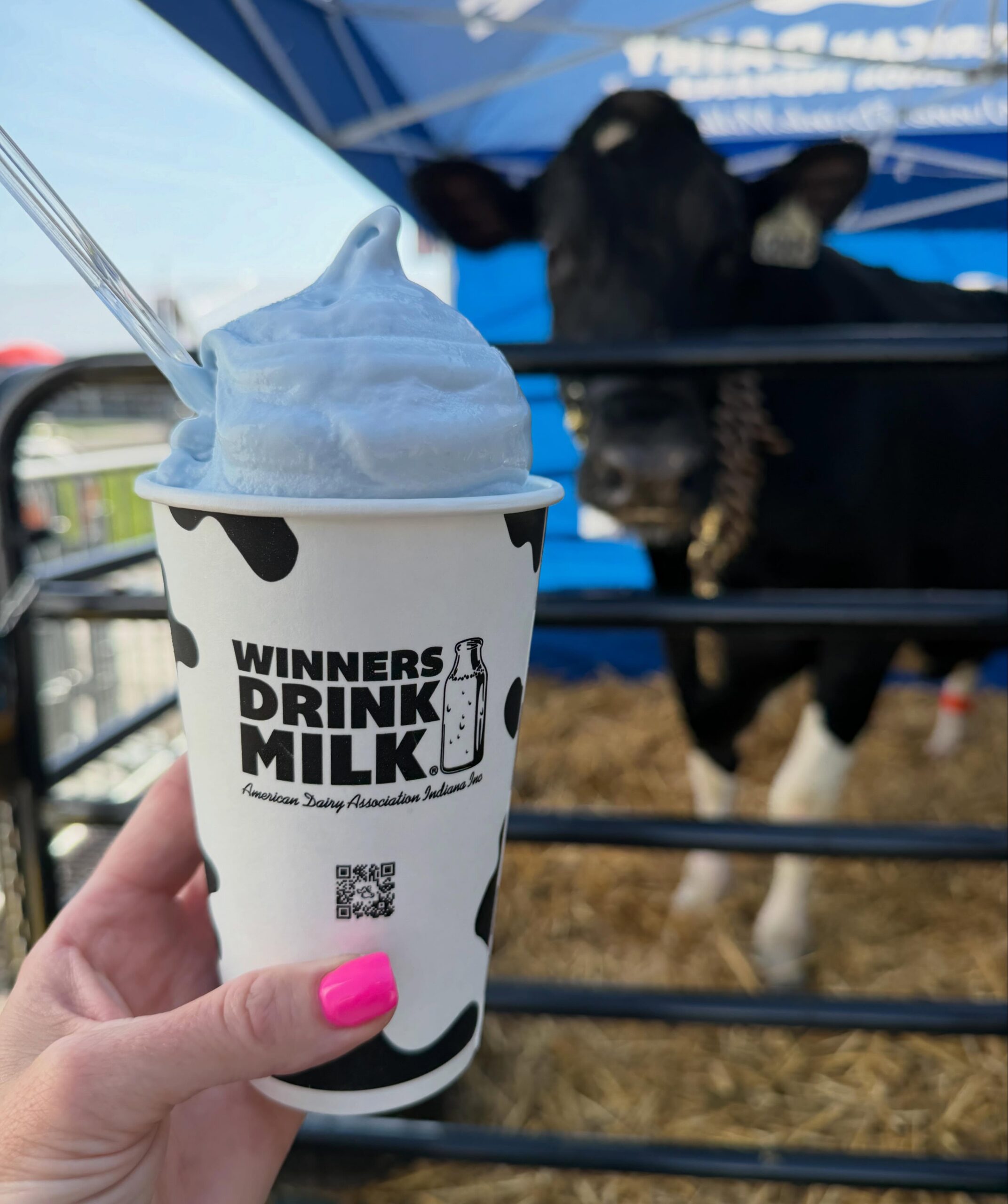 Blue Raspberry Milkshake