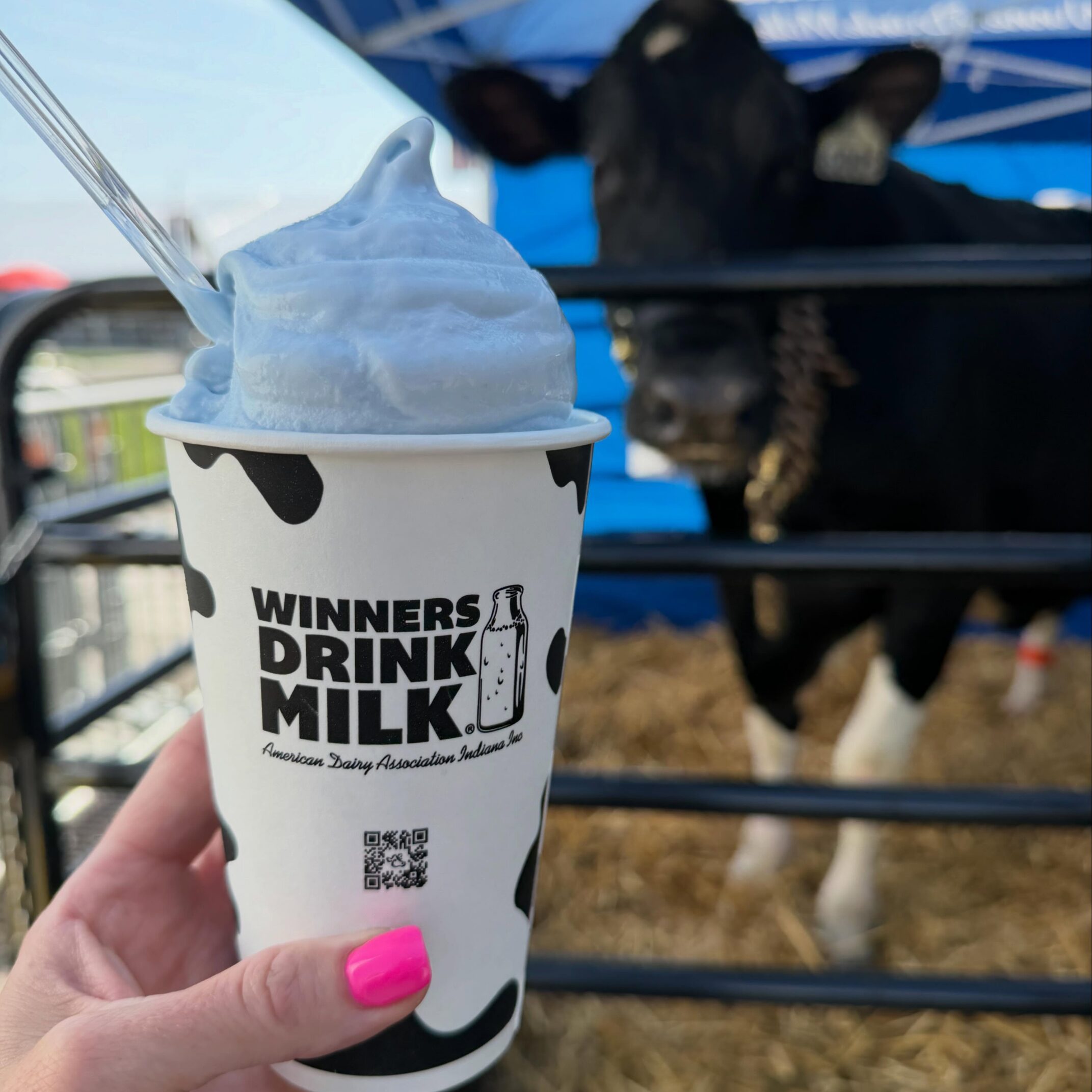 Blue Raspberry Milkshake